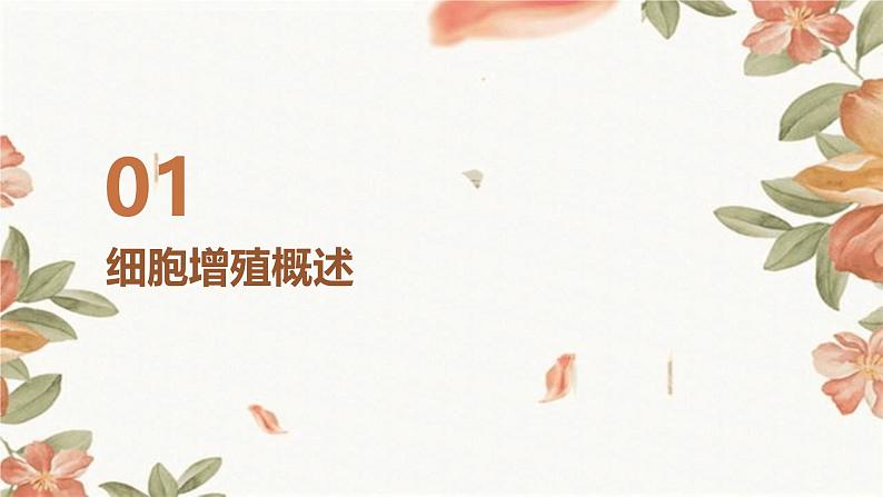 第1节+细胞的增殖课件第3页