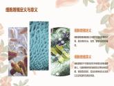 第1节+细胞的增殖课件