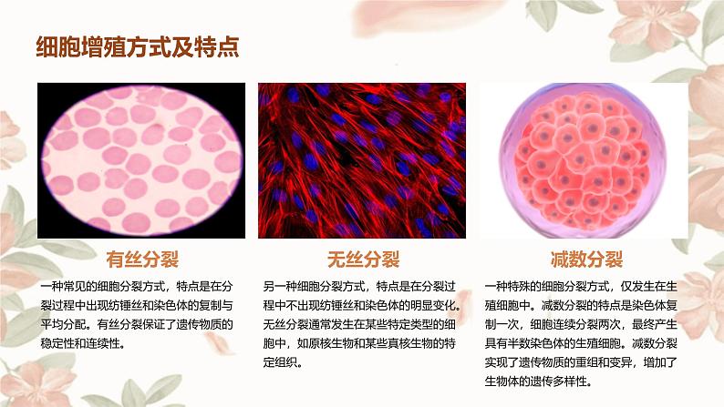 第1节+细胞的增殖课件第5页