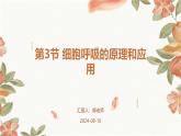 第3节+细胞呼吸的原理和应用课件