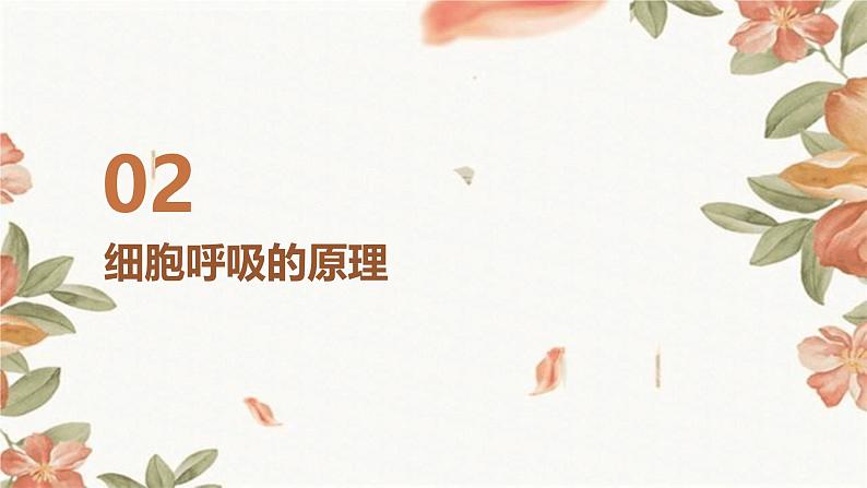 第3节+细胞呼吸的原理和应用课件07