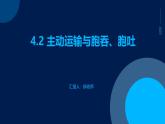 4.2+主动运输与胞吞、胞吐课件