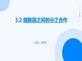 3.2+细胞器之间的分工合作课件