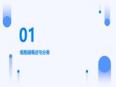 3.2+细胞器之间的分工合作课件