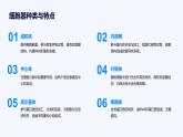 3.2+细胞器之间的分工合作课件