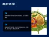 3.2+细胞器之间的分工合作课件