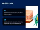 3.1+细胞膜的结构和功能课件