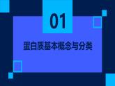 2.4蛋白质是生命活动的主要承担者课件