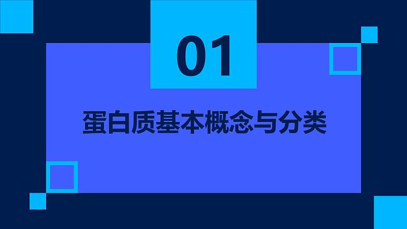 2.4蛋白质是生命活动的主要承担者课件第3页