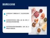 2.4蛋白质是生命活动的主要承担者课件