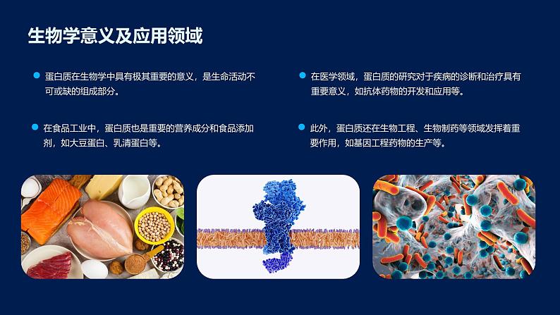 2.4蛋白质是生命活动的主要承担者课件第7页