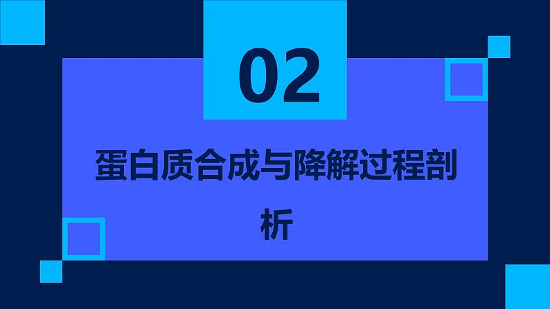 2.4蛋白质是生命活动的主要承担者课件第8页