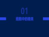 2.3细胞中的糖类和脂质课件
