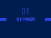 2.3细胞中的糖类和脂质课件