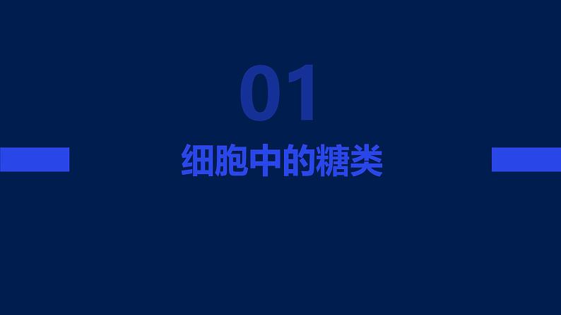 2.3细胞中的糖类和脂质课件03