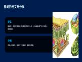 2.3细胞中的糖类和脂质课件