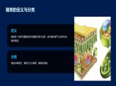 2.3细胞中的糖类和脂质课件