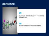 2.3细胞中的糖类和脂质课件
