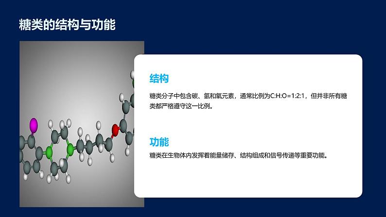 2.3细胞中的糖类和脂质课件05