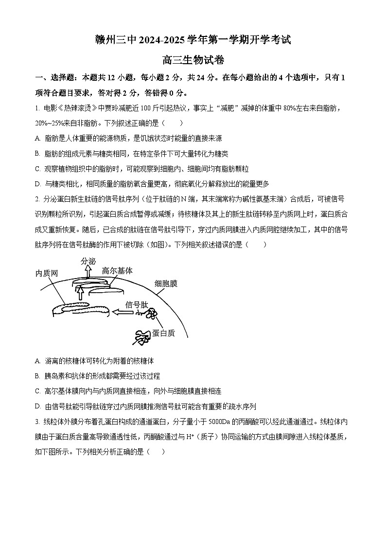 江西省赣州市章贡区赣州市第三中学2024-2025学年高三上学期开学考试生物试题（原卷版）第1页