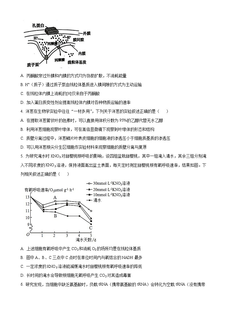江西省赣州市章贡区赣州市第三中学2024-2025学年高三上学期开学考试生物试题（原卷版）第2页