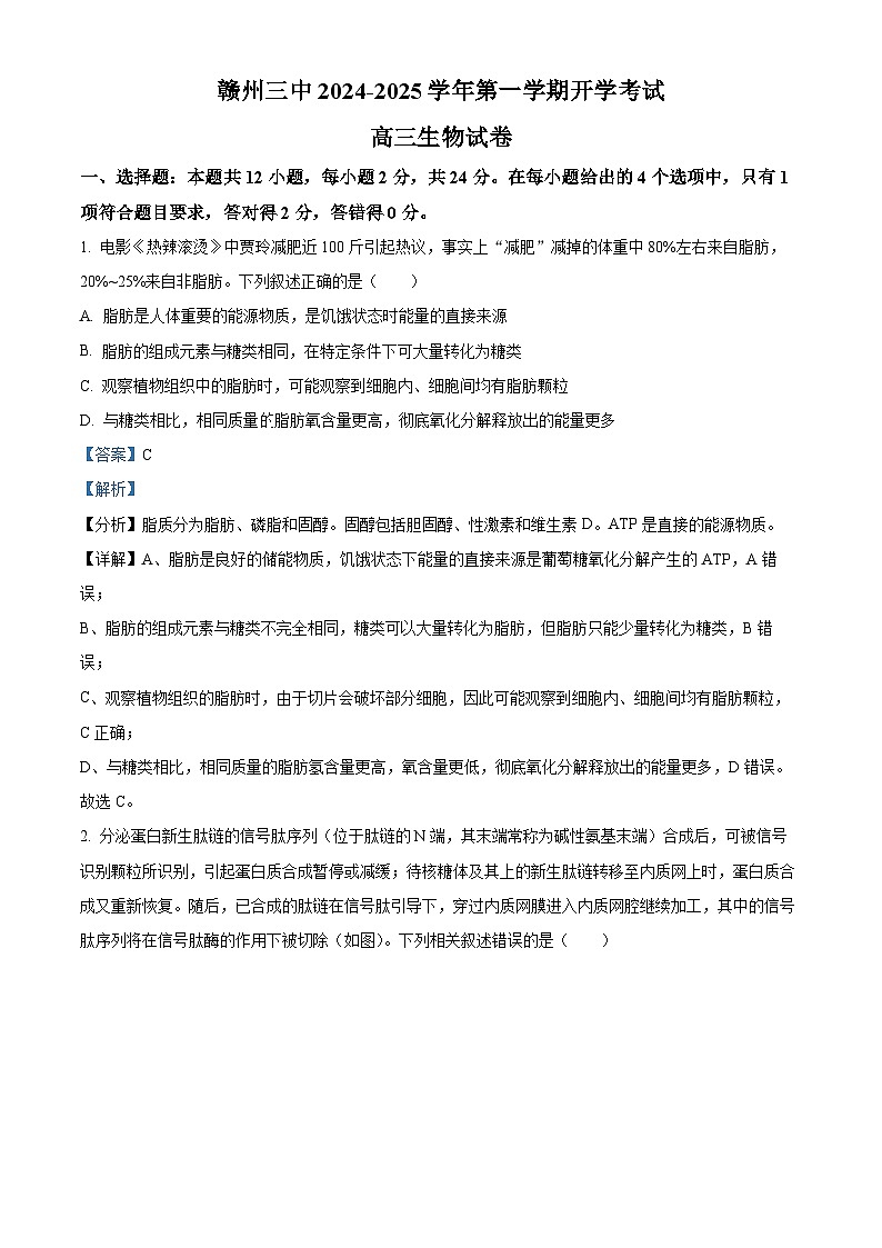 江西省赣州市章贡区赣州市第三中学2024-2025学年高三上学期开学考试生物试题（解析版）第1页