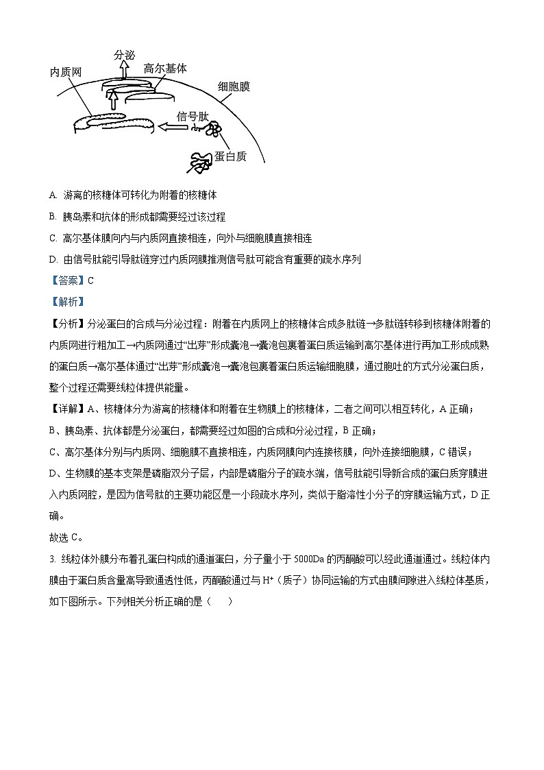 江西省赣州市章贡区赣州市第三中学2024-2025学年高三上学期开学考试生物试题（解析版）第2页