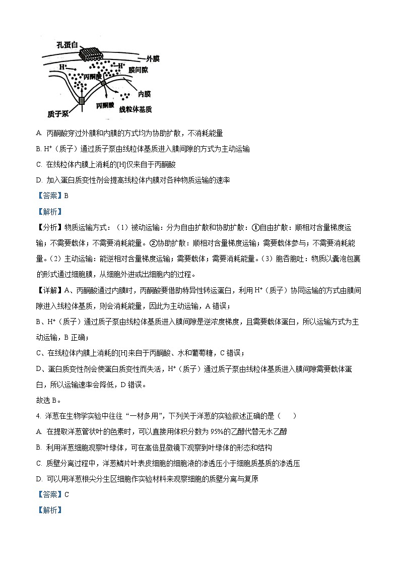 江西省赣州市章贡区赣州市第三中学2024-2025学年高三上学期开学考试生物试题（解析版）第3页