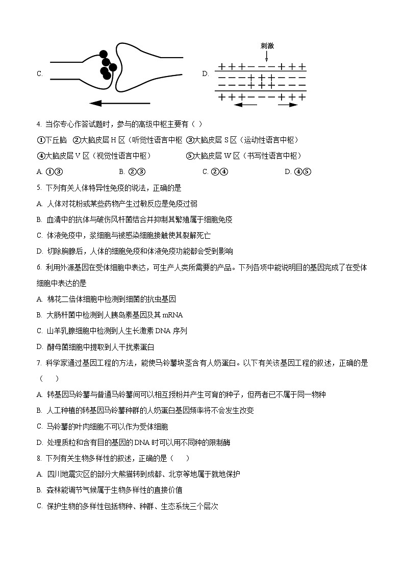 湖南省长沙市望城区长沙市望城区第二中学2024-2025学年高三上学期开学生物试题（原卷版+解析版）02