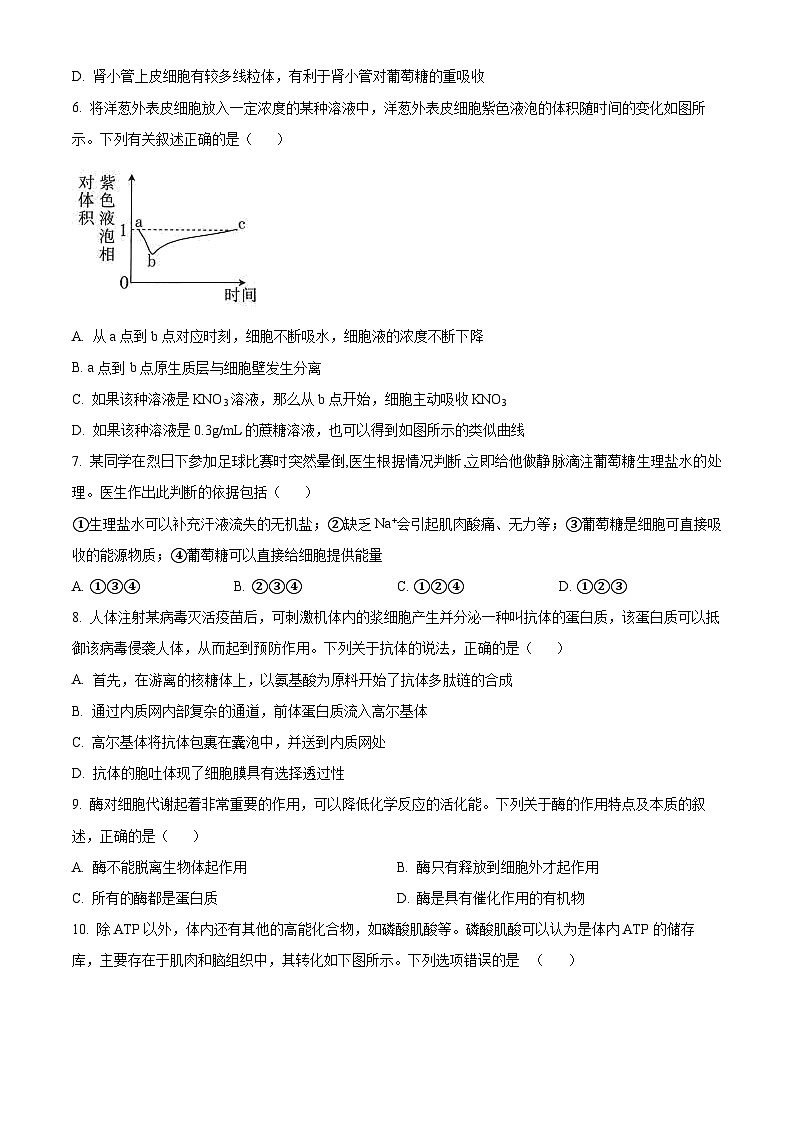 甘肃省民勤县第一中学2024-2025学年高二上学期开学考试生物试题（原卷版+解析版）02