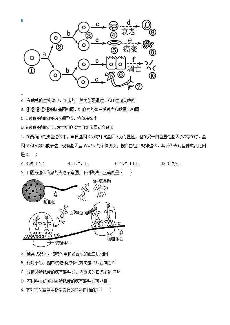 江苏省南京市2024-2025学年高三上学期六校联合体学情调研测试生物试题（原卷版）第2页