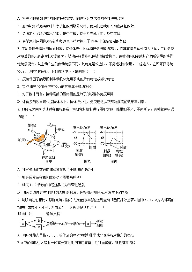 江苏省南京市2024-2025学年高三上学期六校联合体学情调研测试生物试题（原卷版）第3页