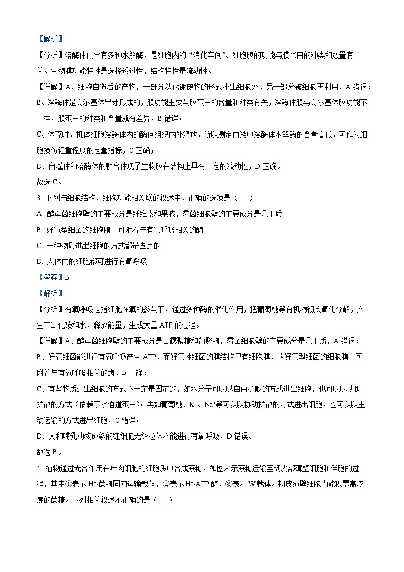 河北省邯郸市永年区第二中学2024-2025学年高三上学期开学检测生物试卷（解析版）第2页