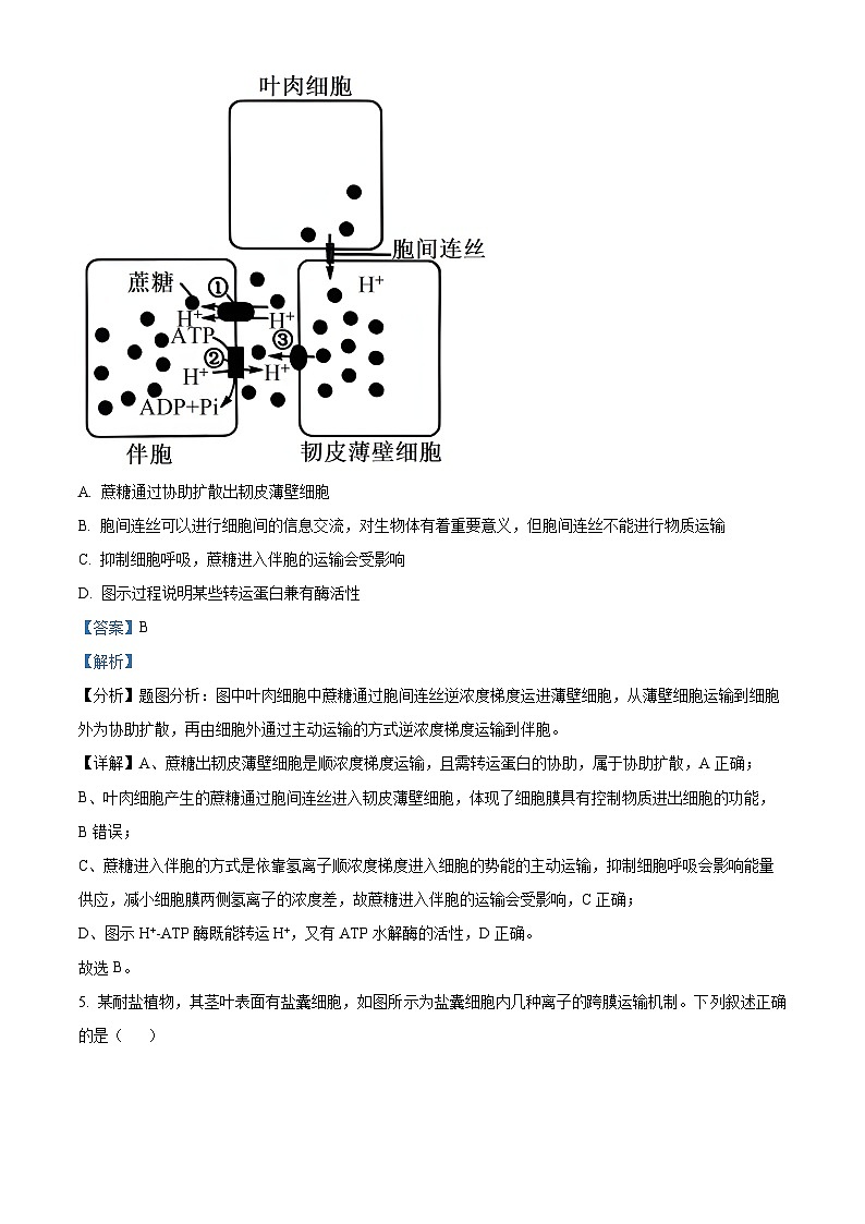 河北省邯郸市永年区第二中学2024-2025学年高三上学期开学检测生物试卷（解析版）第3页