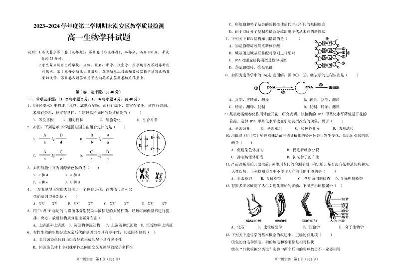 广东省潮州市潮安区2023-2024学年高一下学期期末考试生物试题01