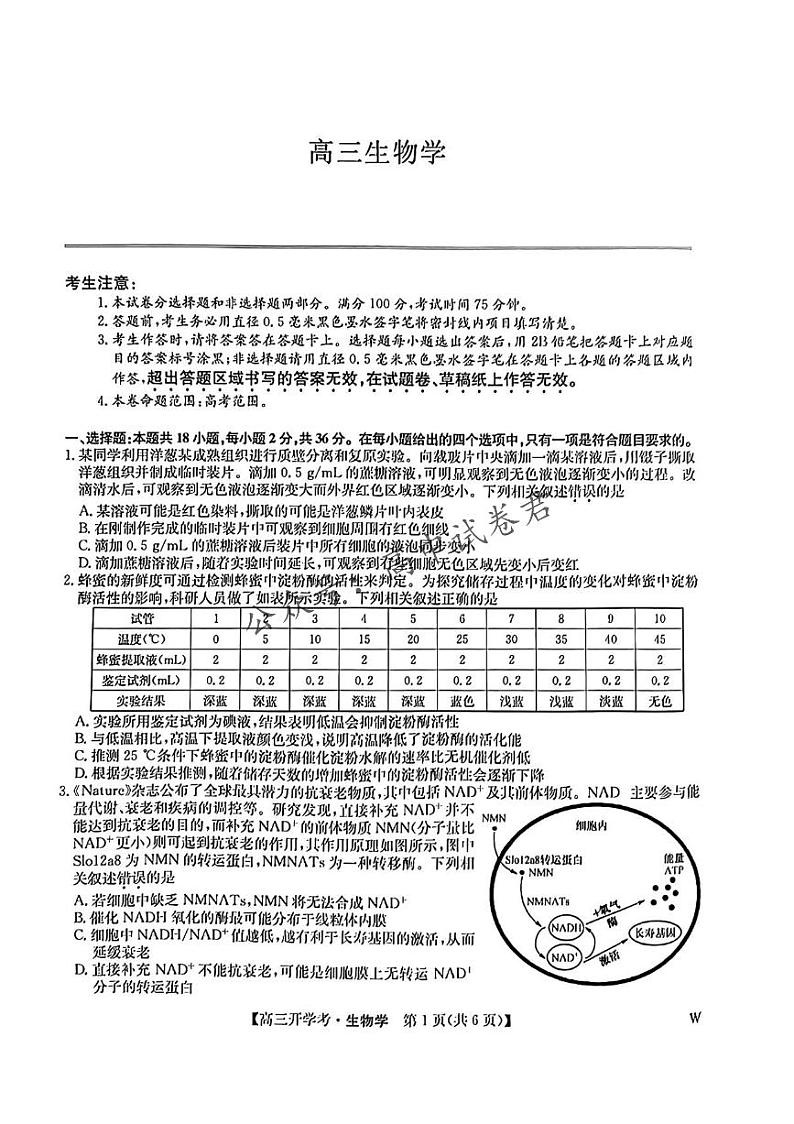 九师联盟2024-2025学年高三上学期8月联考生物试卷第1页