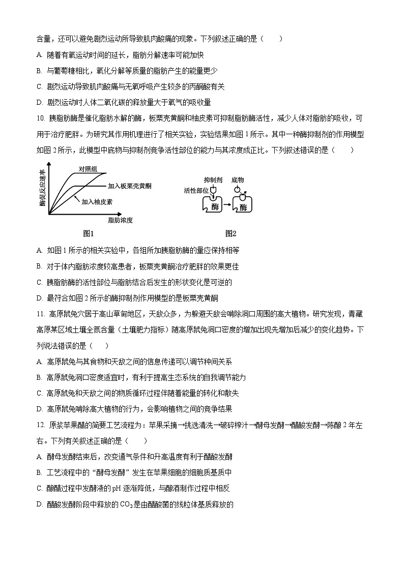 浙江省名校协作体2024-2025学年高三上学期开学适应性考试生物试题（Word版附解析）03
