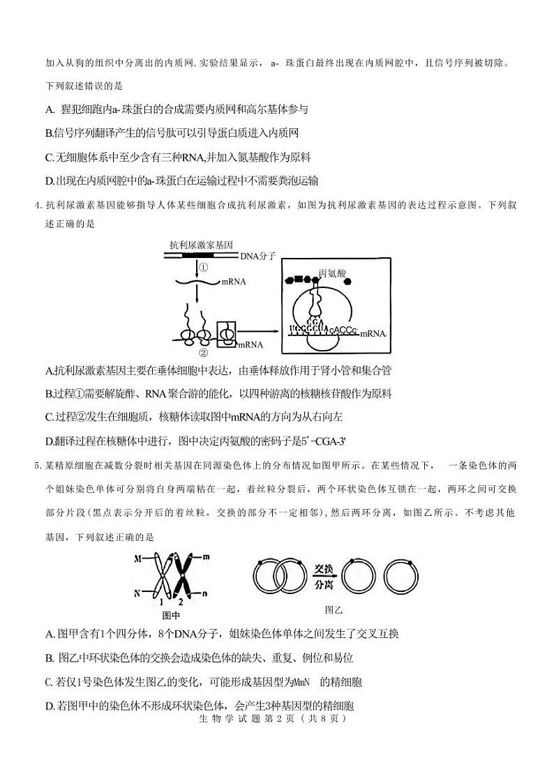 生物丨山西省三重教育（吕梁市）2025届高三上学期开学考试生物试卷及答案02