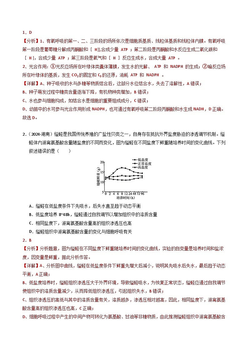 三年（2022-2024）高考生物真题分类汇编（全国通用）专题03 细胞呼吸和光合作用（解析版）02