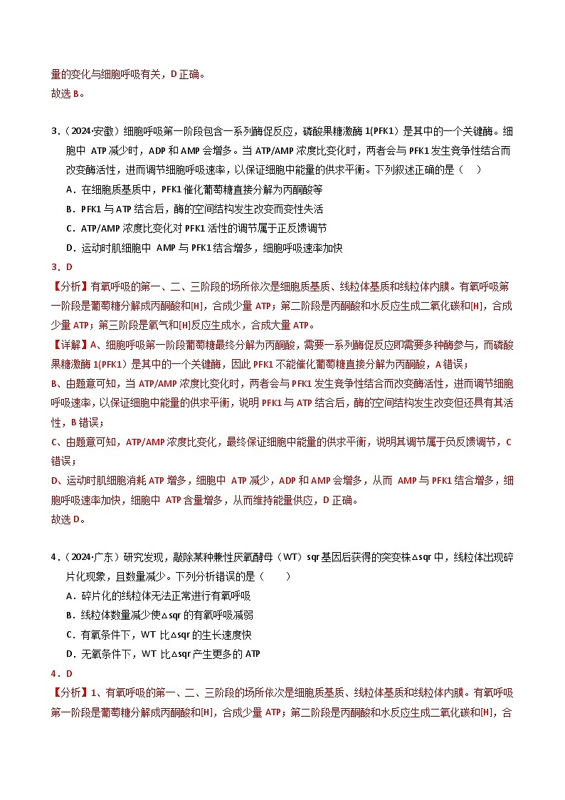 三年（2022-2024）高考生物真题分类汇编（全国通用）专题03 细胞呼吸和光合作用（解析版）03