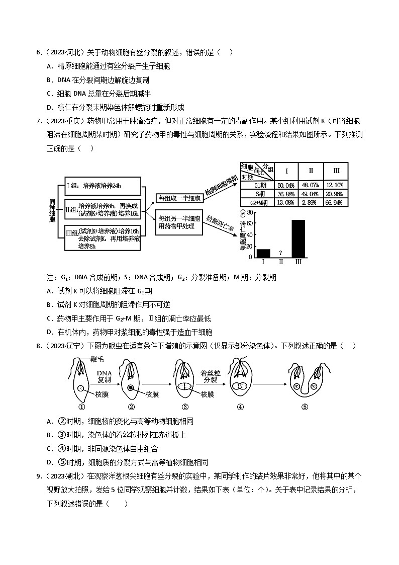 三年（2022-2024）高考生物真题分类汇编（全国通用）专题04 细胞的增殖和生命历程（原卷版）03