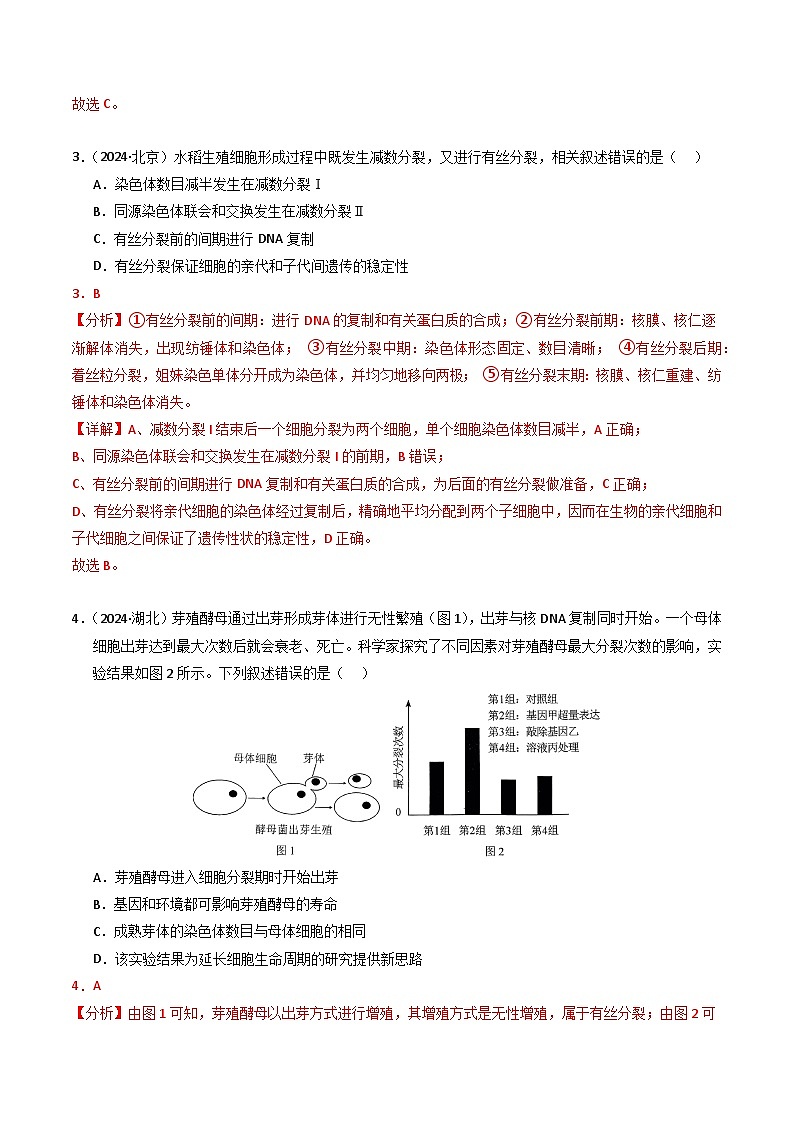 三年（2022-2024）高考生物真题分类汇编（全国通用）专题04 细胞的增殖和生命历程（解析版）03