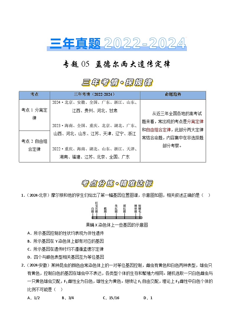 三年（2022-2024）高考生物真题分类汇编（全国通用）专题05 孟德尔两大遗传定律（原卷版）01
