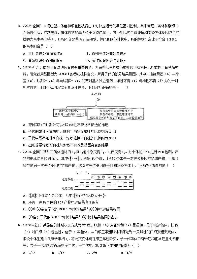 三年（2022-2024）高考生物真题分类汇编（全国通用）专题05 孟德尔两大遗传定律（原卷版）02