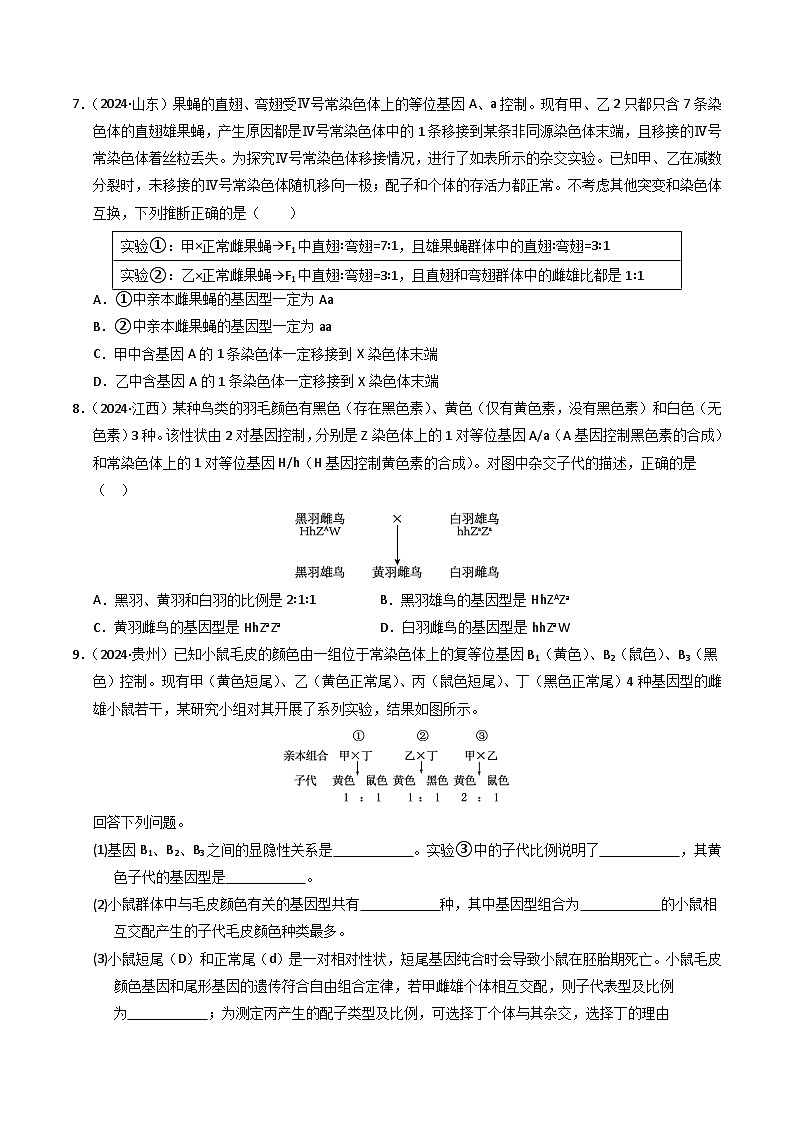 三年（2022-2024）高考生物真题分类汇编（全国通用）专题05 孟德尔两大遗传定律（原卷版）03