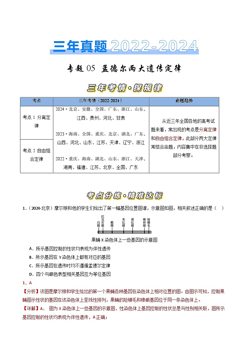 三年（2022-2024）高考生物真题分类汇编（全国通用）专题05 孟德尔两大遗传定律（解析版）01