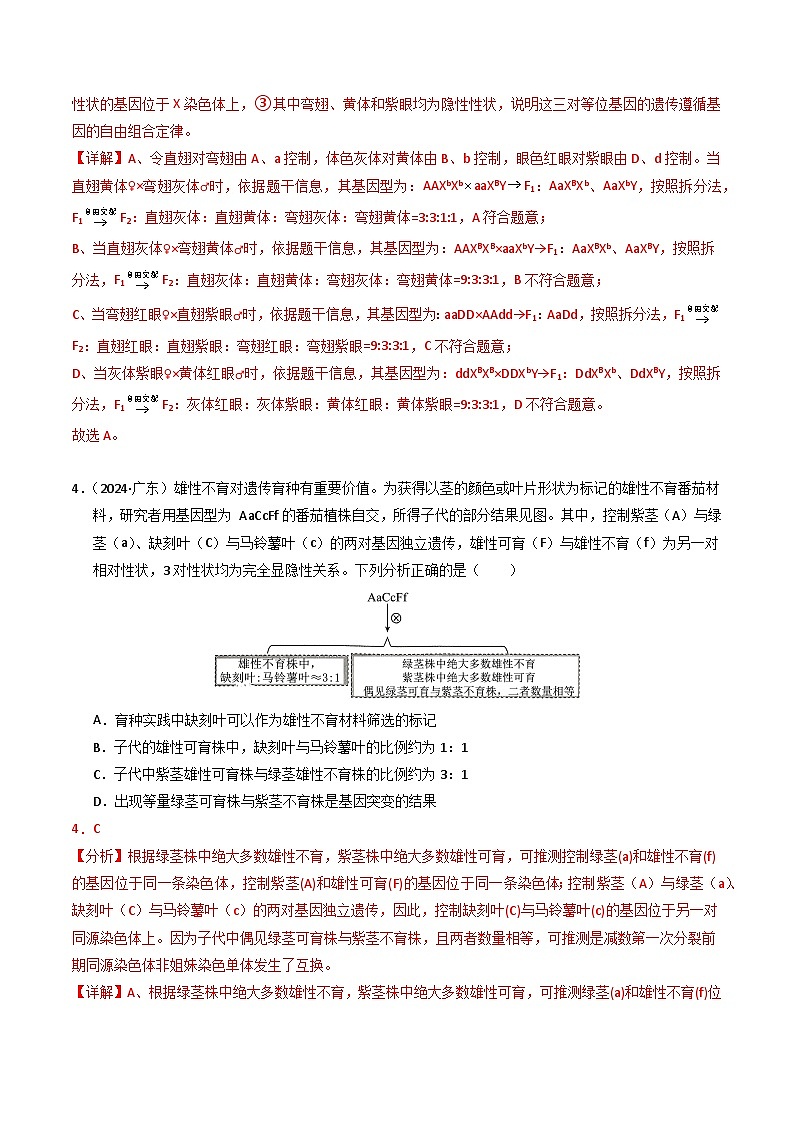 三年（2022-2024）高考生物真题分类汇编（全国通用）专题05 孟德尔两大遗传定律（解析版）03