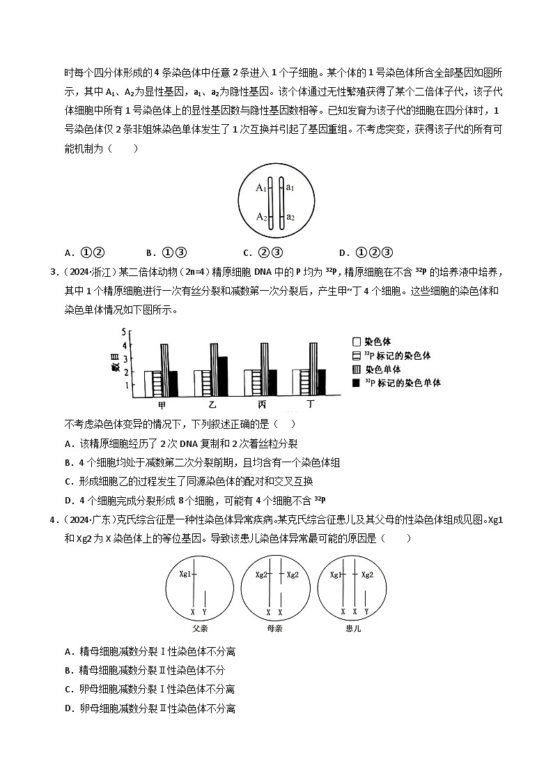 三年（2022-2024）高考生物真题分类汇编（全国通用）专题06 基因与染色体的关系（原卷版）02