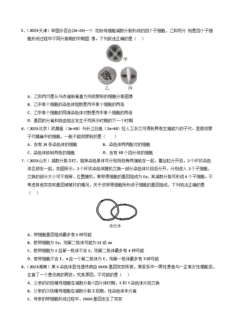 三年（2022-2024）高考生物真题分类汇编（全国通用）专题06 基因与染色体的关系（原卷版）03
