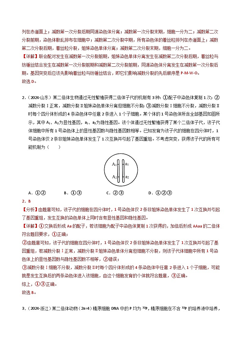 三年（2022-2024）高考生物真题分类汇编（全国通用）专题06 基因与染色体的关系（解析版）02
